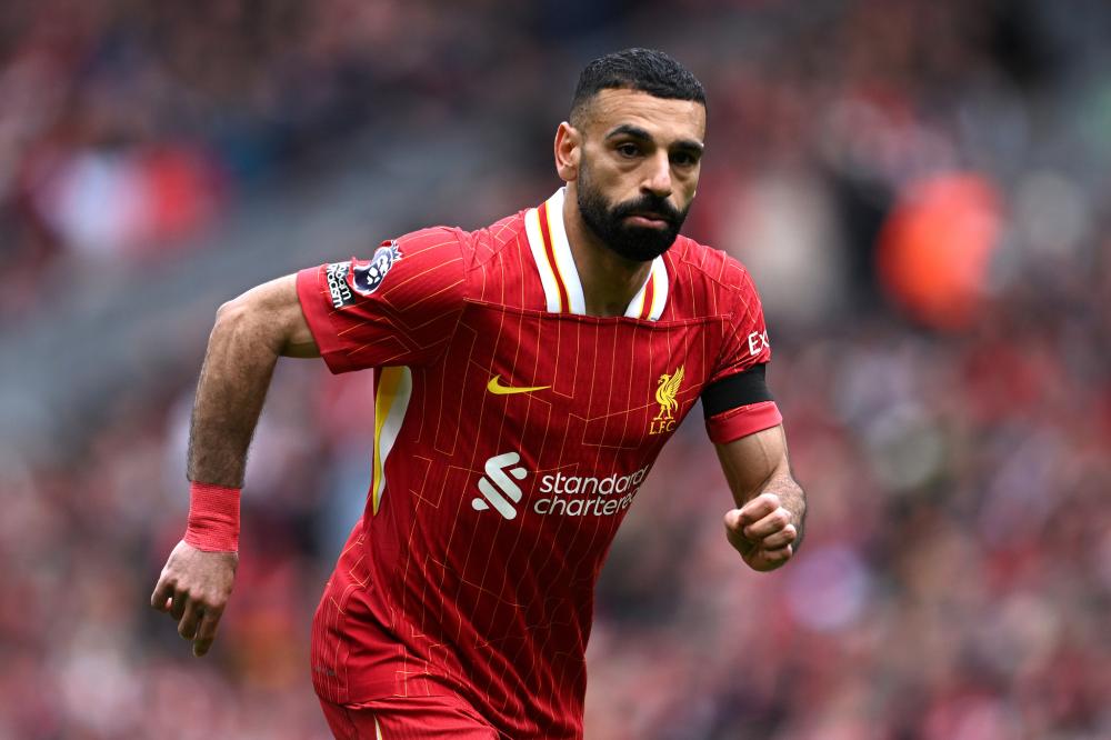 是南虎能够 是南虎能够